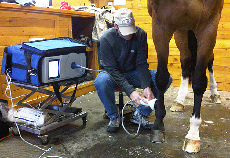 Equine Sports Medicine Shockwave Therapy Manning Equine Vet Services serving Erin, Halton Hills, Georgetown, Orangeville, Caledon, Rockwood and Southern Ontario areas.