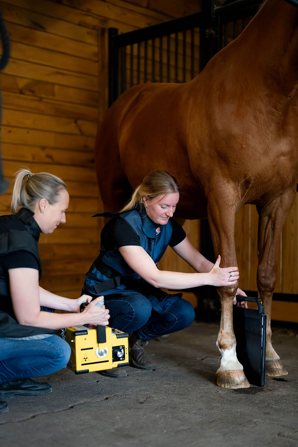 Equine Sports Medicine digital radiography, Radiographs,  Manning Equine Vet Services serving Erin, Halton Hills, Georgetown, Orangeville, Caledon, Rockwood and Southern Ontario areas.