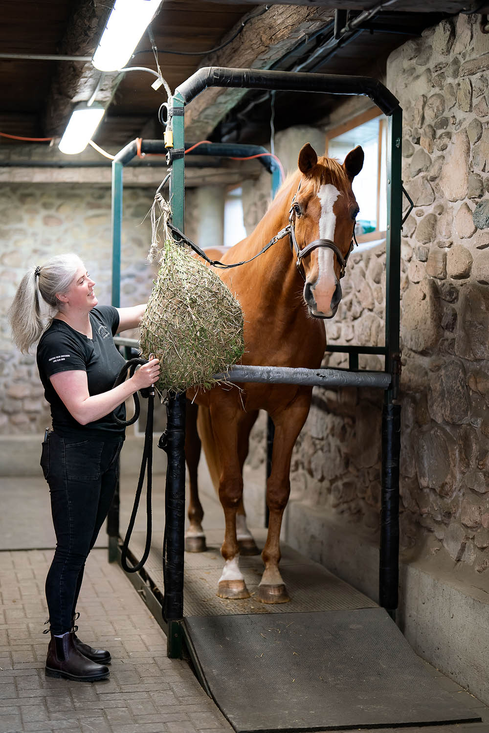 Performance horse rehabilitation Manning Equine Vet Services serving Erin, Halton Hills, Georgetown, Orangeville, Caledon, Rockwood and Southern Ontario areas.