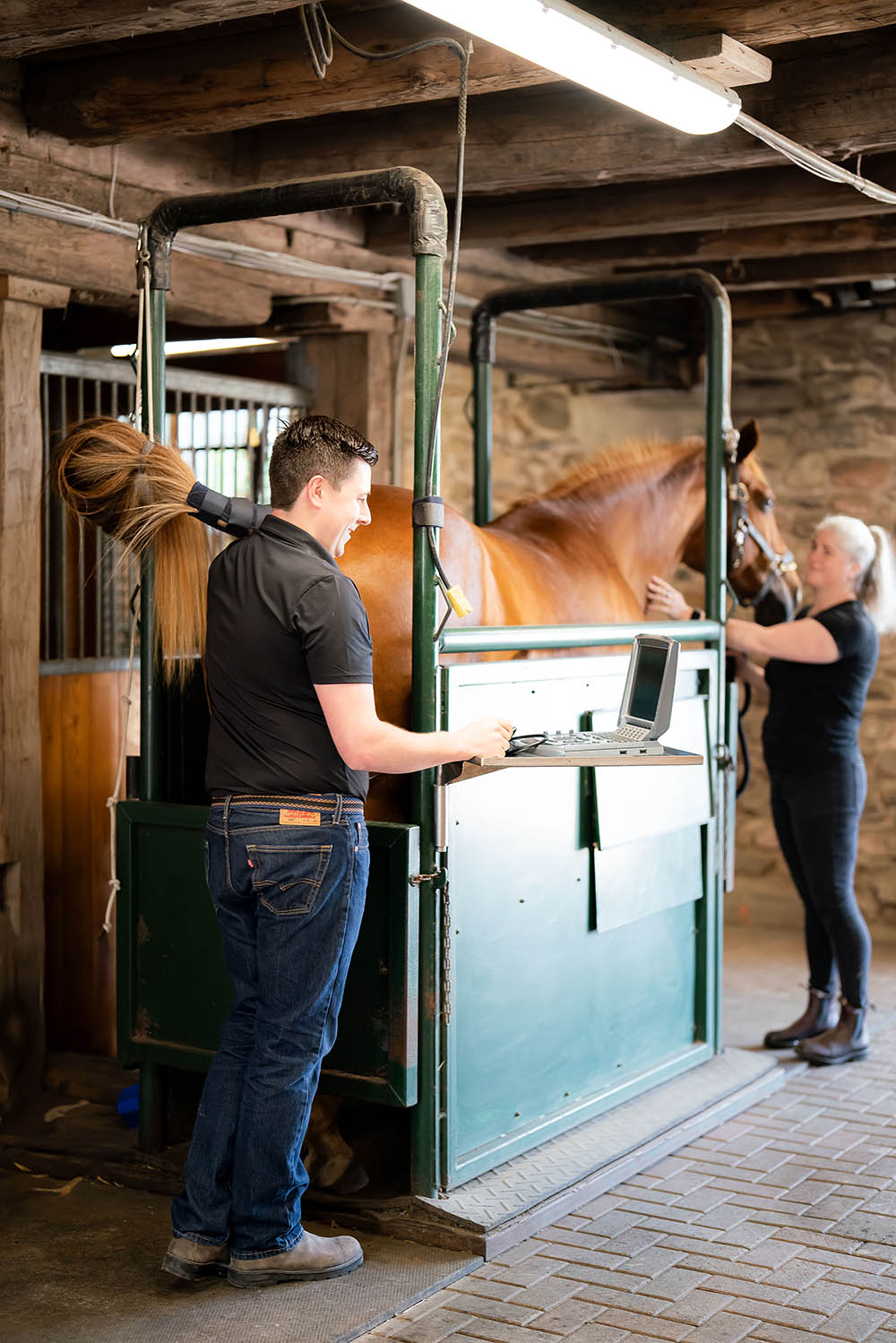 Breeding and foaling, artificial insemination, embryo transfers, broodmare and foal boarding and care. Manning Equine Vet Services serving Erin, Halton Hills, Georgetown, Orangeville, Caledon, Rockwood and Southern Ontario areas.