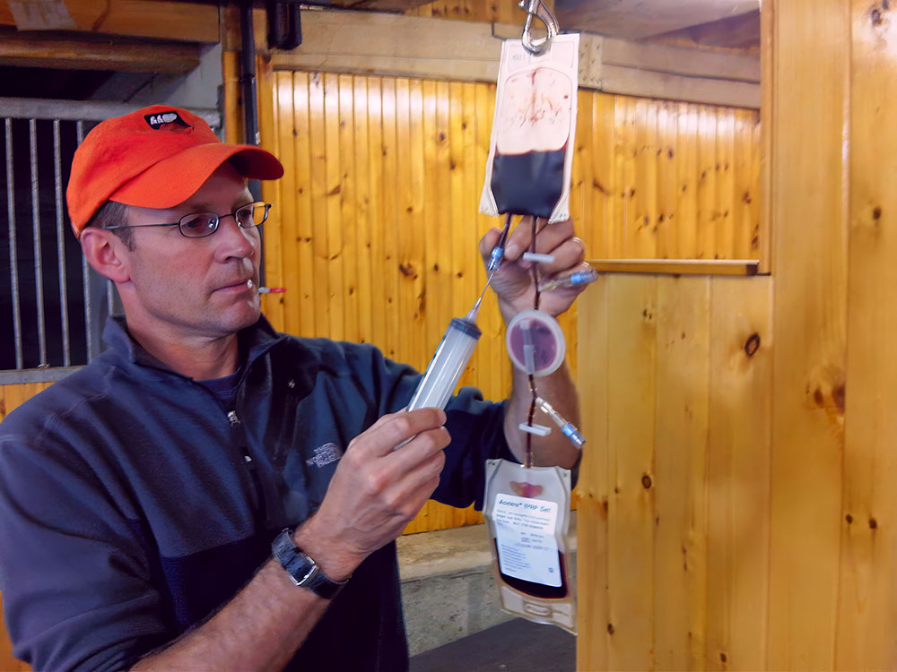 Equine Sports Medicine Platelet Rich Plasma PRP Therapy Manning Equine Vet Services serving Erin, Halton Hills, Georgetown, Orangeville, Caledon, Rockwood and Southern Ontario areas.